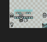 Rocas en exposición