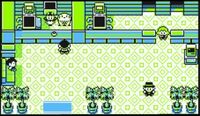 Centro Pokémon de Ciudad Verde en Am (Interior)