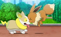 Eevee usando Placaje contra Yamper de Chloe.