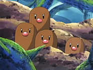 EP432 Dugtrio y Diglett