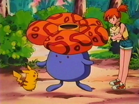 Vileplume de Isla Valencia