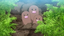 Imagen de Dugtrio