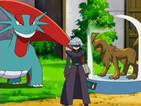 Salamence con J y un Absol.