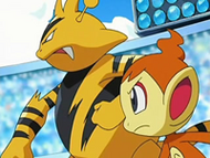 Electabuzz junto a Chimchar.