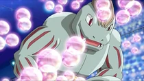 Imagen de Machoke