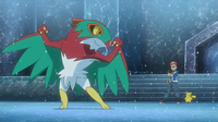 Hawlucha junto a Ash