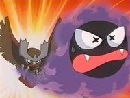 Noctowl vs. Gastly