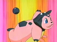 EP270 Miltank de Harrison.jpg (23 kB) Miltank de Harrison usando campana cura...