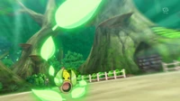 Weepinbell usando hoja afilada