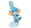 Mudkip