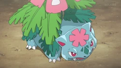 SME04 Mega-Venusaur