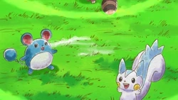 EP850 Pachirisu y Marill