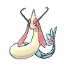 Milotic