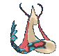Imagen posterior de Milotic hembra en la sexta y séptima generación