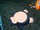 P07 Snorlax (1).png