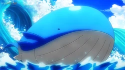 EP1099 Wailord