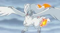 Imagen de Reshiram