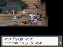 Guía de Pokémon Oro HeartGold y Plata SoulSilver