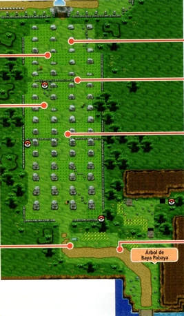 Imagen de Ruta 10