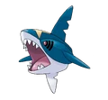 Sharpedo