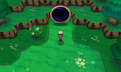 Anillo en el interior del bosque.