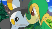 Emolga vs. Snivy.