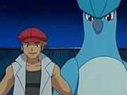 EP413 Articuno y Sabino