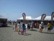 Moviplaya 2008