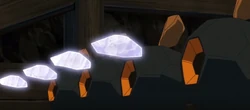 EP1169 varios Roggenrola usando pedrada