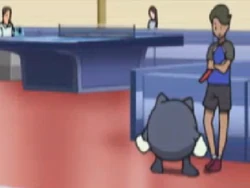 EP1009 Poliwhirl