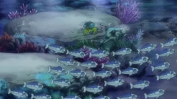 EP1014 Wishiwashi 2
