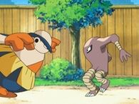 Un Hariyama usando empujón sobre el Hitmonlee de Masterjan.