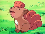 EP427 Vulpix (2)