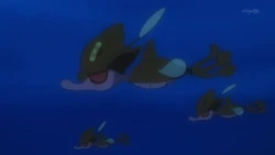 EP828 Skrelp salvajes