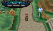 RUTA 19