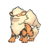 Arcanine XY