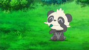 EP815 Pancham acariciandose