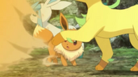 Glaceon y Leafeon de Virgil usando ataque arena.