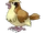 Pidgey