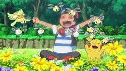 EP963 Comfey y Cutiefly