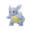 Wartortle