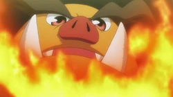 TA01 Emboar de Rizzo