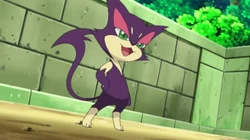 EP742 Purrloin de Pinot Noir