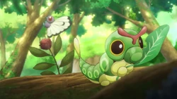 EVOL08 Butterfree y Caterpie