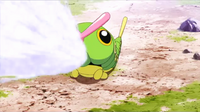 Caterpie salvaje usando disparo demora en GEN01.