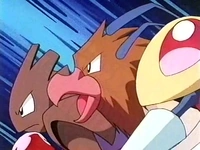 EP086 Hitmonchan, Spearow y Beedrill