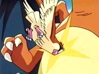 Pidgey usando ataque rápido.