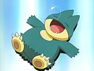 EP439 Munchlax durmiendo