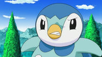 EP660 Piplup enfadado