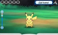 Fotografía de un Pikachu.